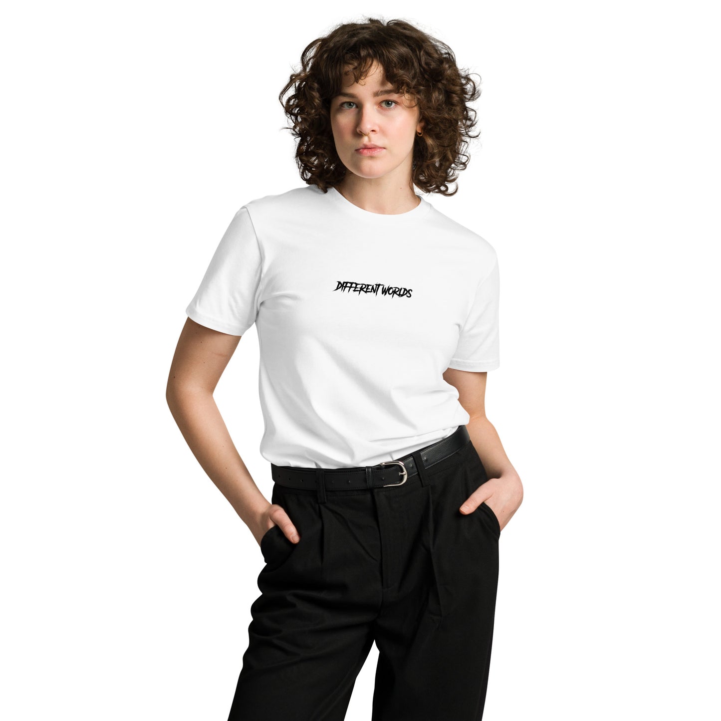 Different Worlds Unisex Premium T-shirt