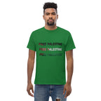 Free Palestine unisex classic tee