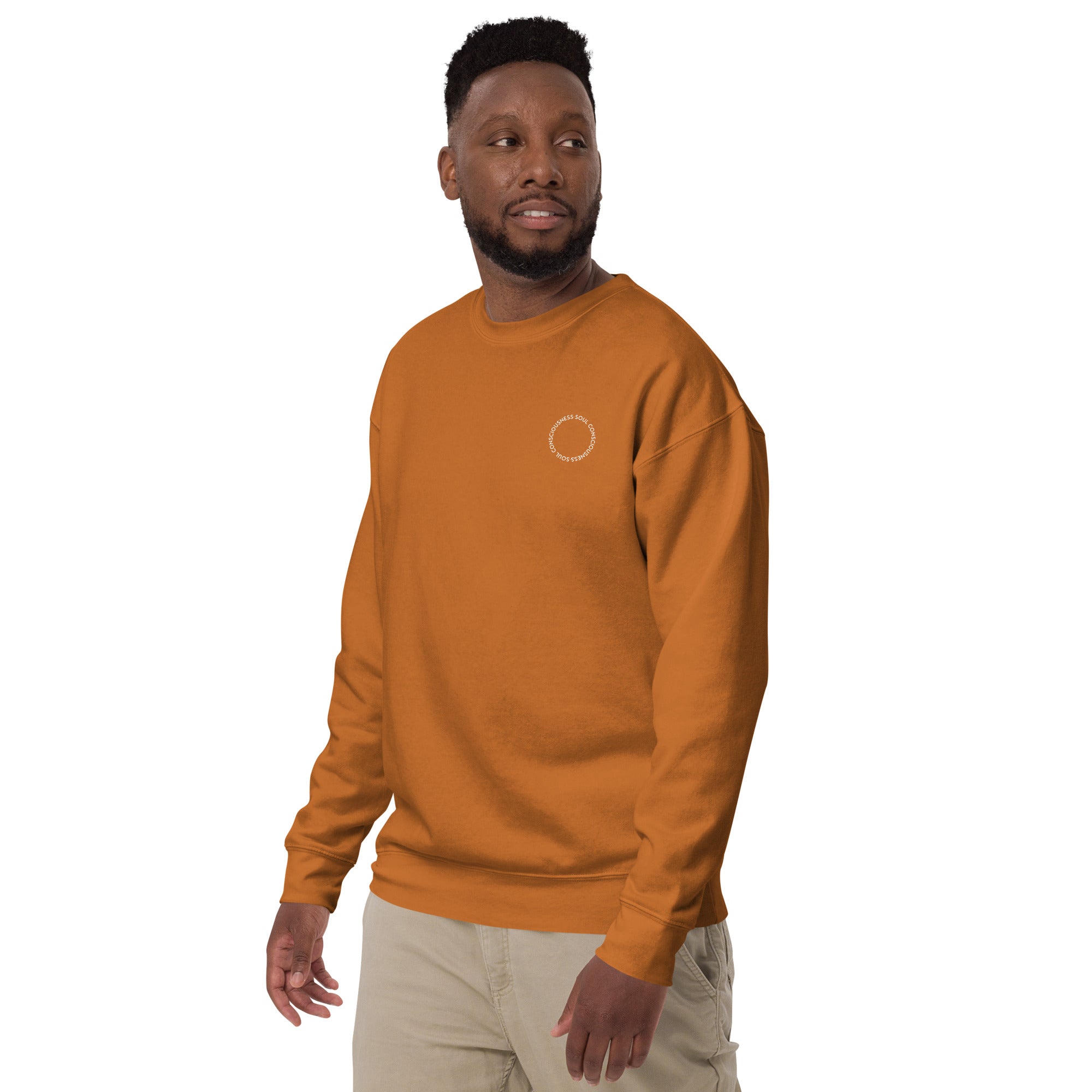 Soul Consciousness unisex premium sweatshirt