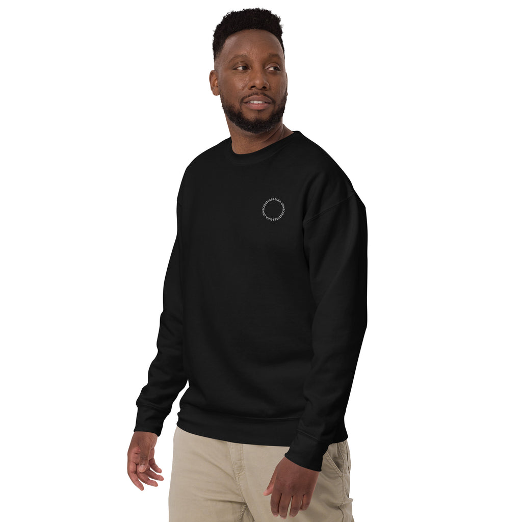 Soul Consciousness unisex premium sweatshirt