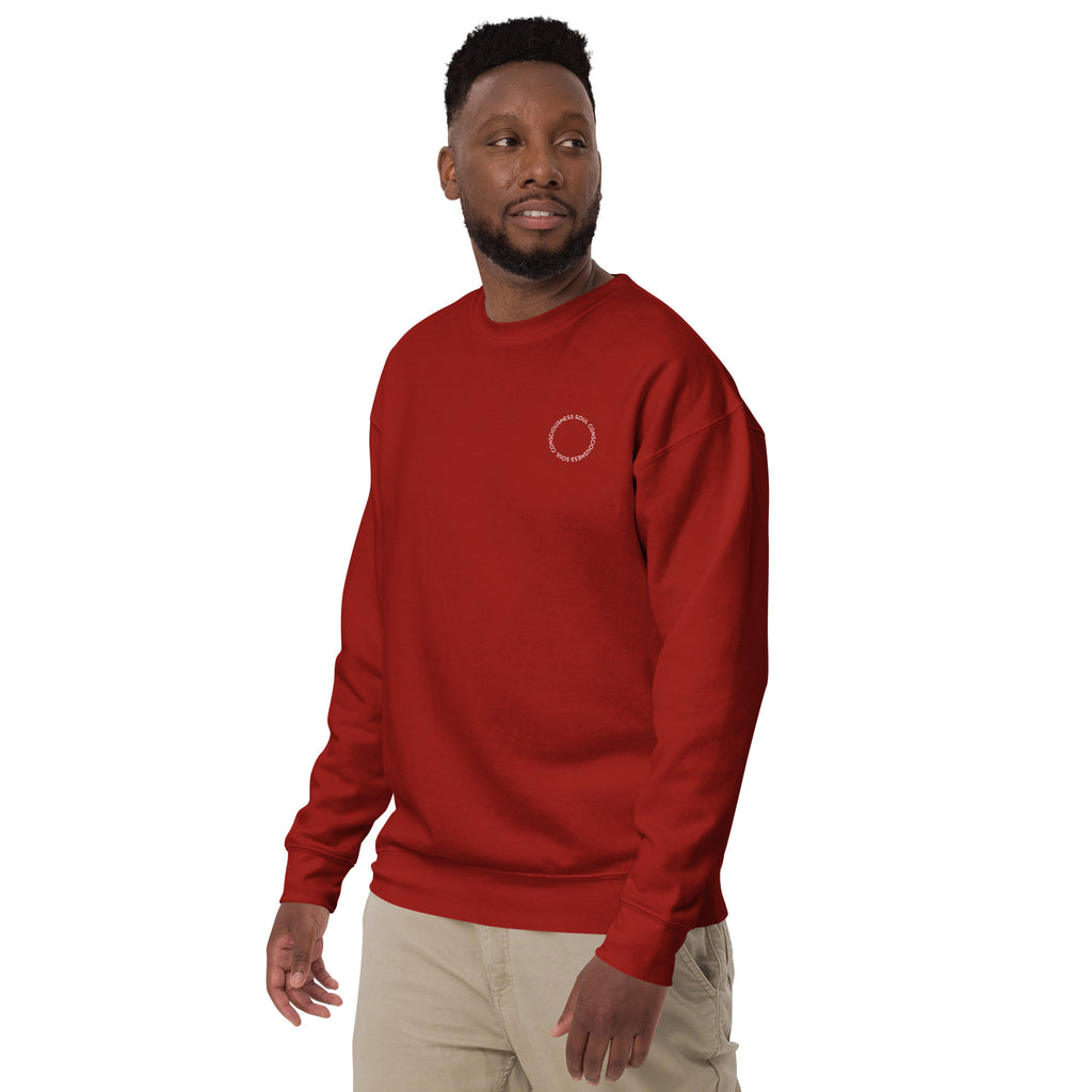 Soul Consciousness unisex premium sweatshirt