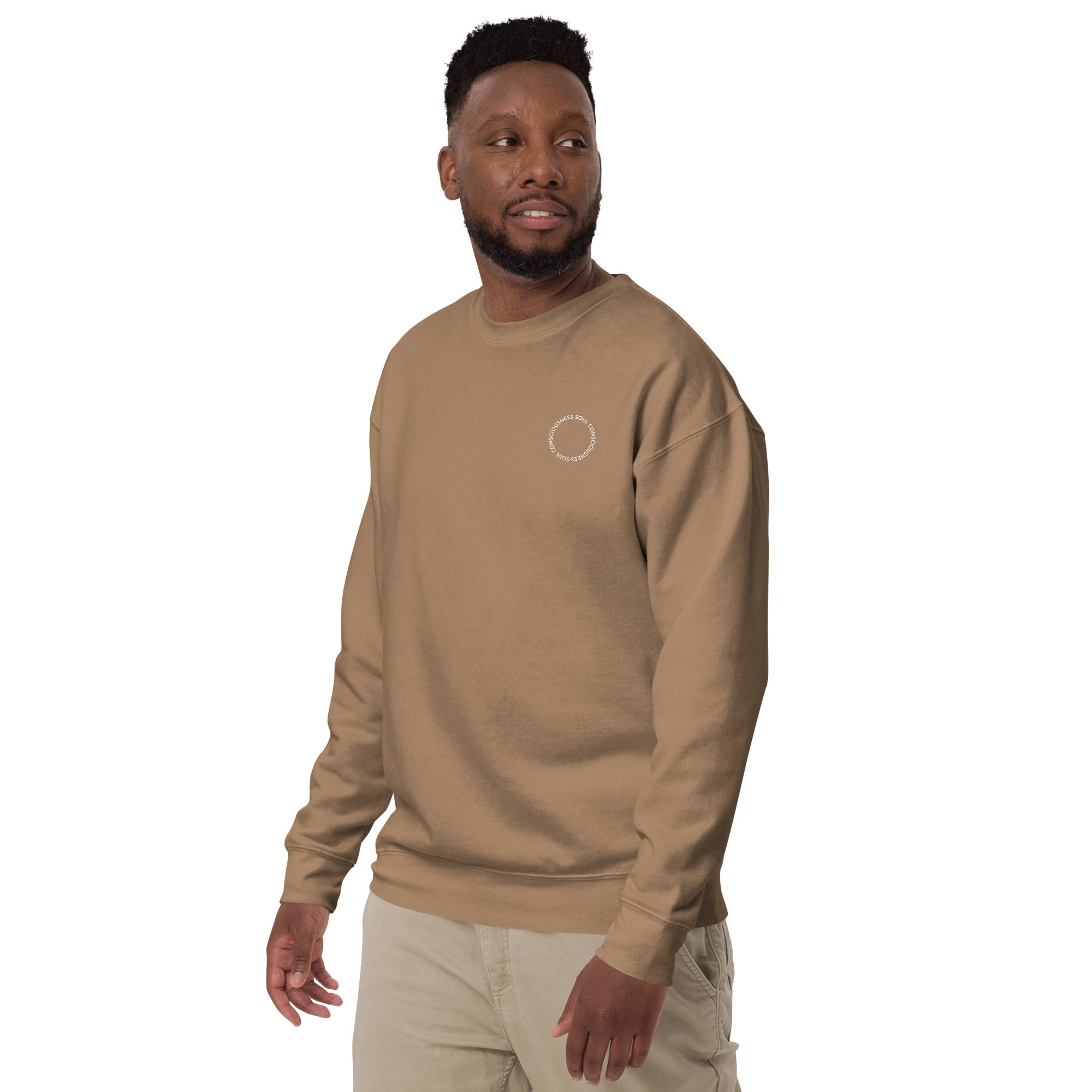 Soul Consciousness unisex premium sweatshirt