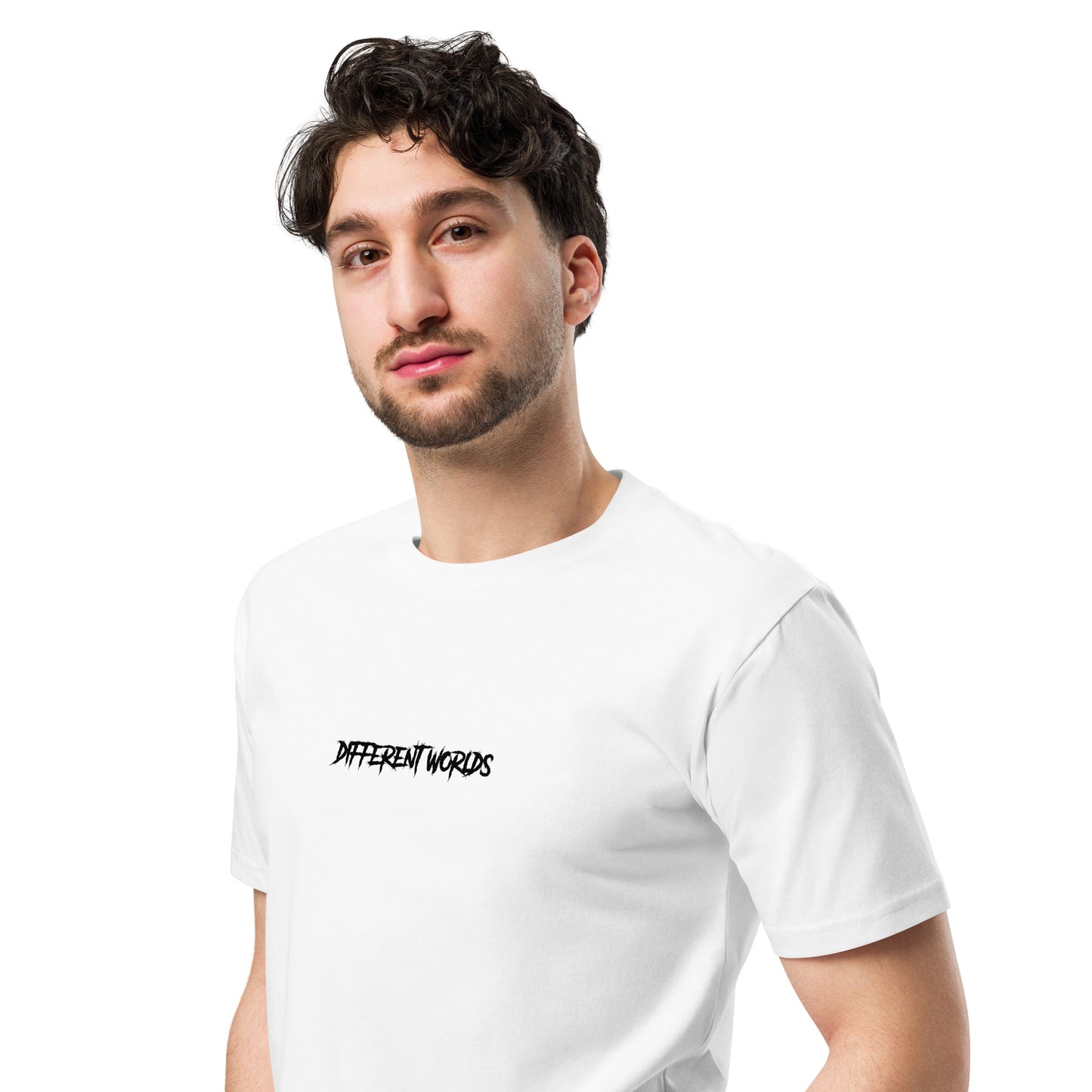 Different Worlds Unisex Premium T-shirt